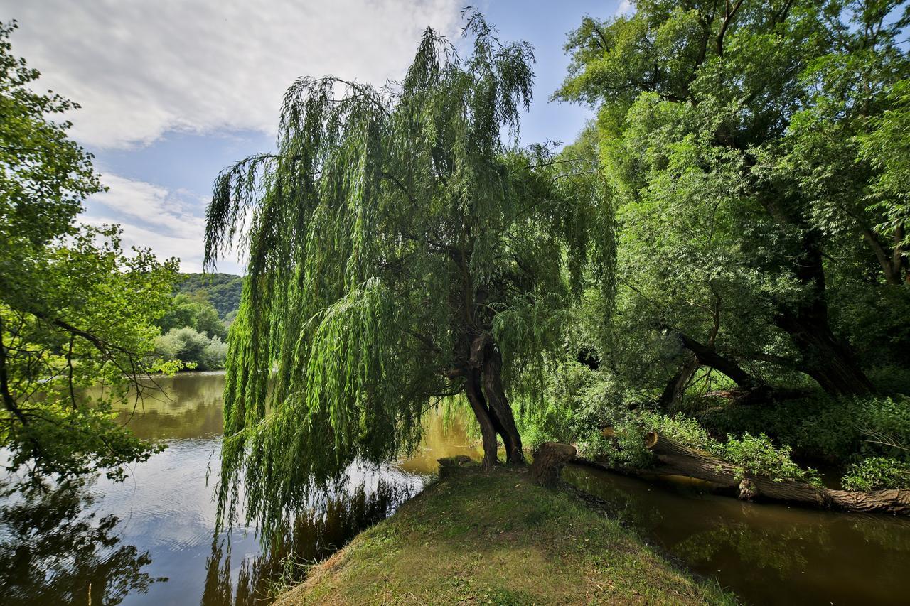 Penzion Карлштейн Экстерьер фото